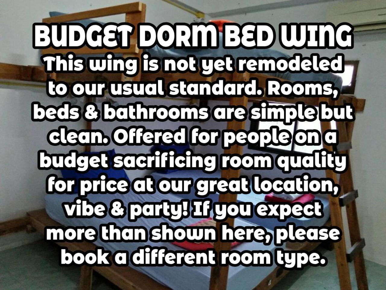 Wild & Wandering Backpacker Hostel & Bar Haad Rin Room photo